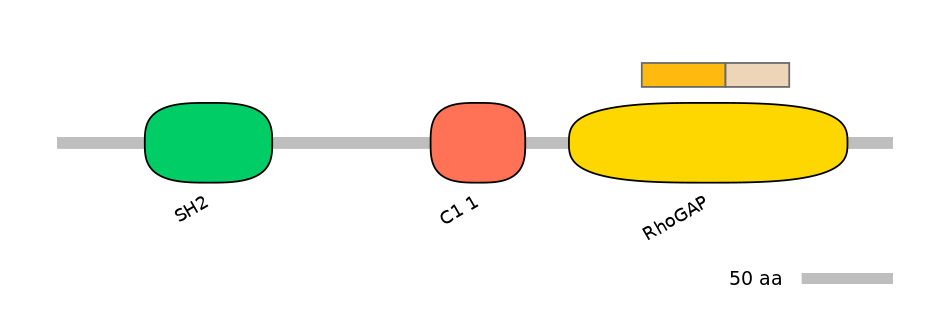 HsaINT0035034-EXC