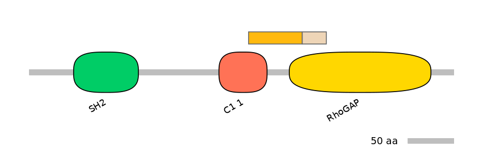 HsaINT0035043-EXC