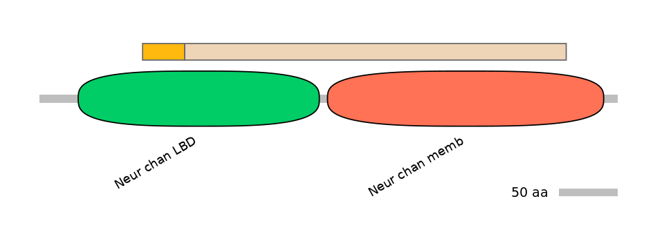 HsaINT0035199-EXC