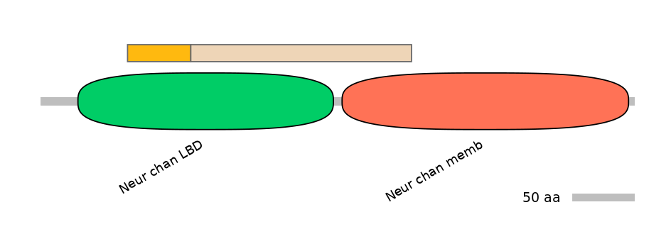 HsaINT0035212-EXC