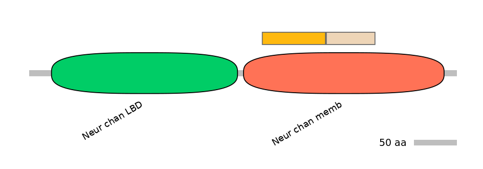 HsaINT0035222-EXC
