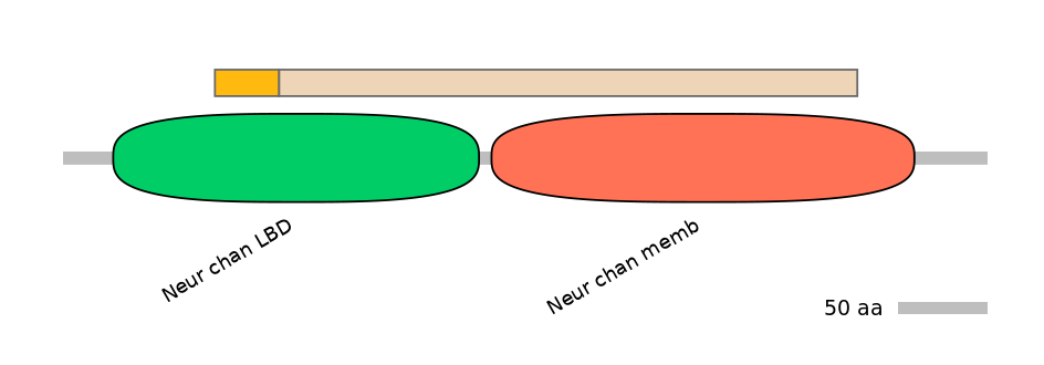 HsaINT0035227-EXC