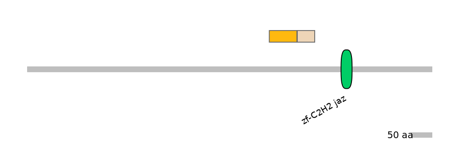 HsaINT0035574-EXC