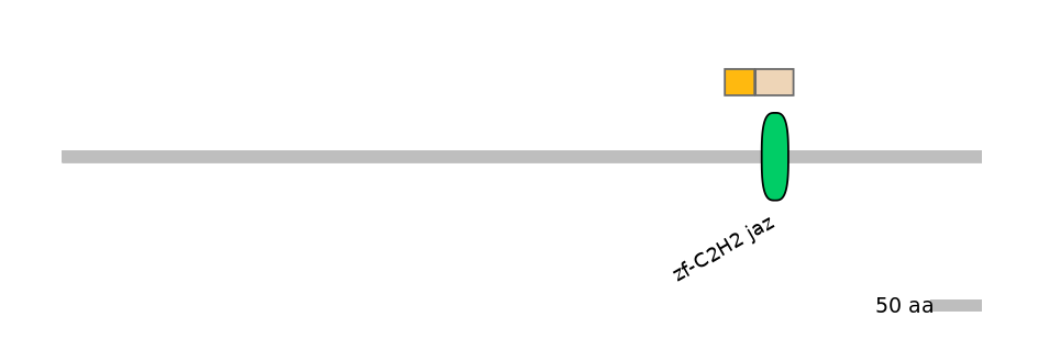 HsaINT0035576-EXC