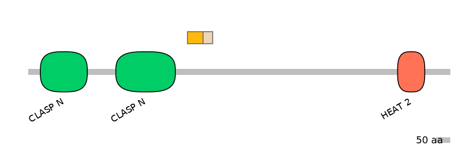 HsaINT0035713-EXC