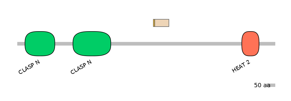 HsaINT0035720-EXC