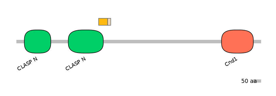 HsaINT0035754-EXC
