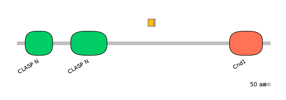 HsaINT0035763-EXC