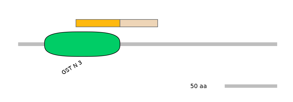 HsaINT0036314-EXC