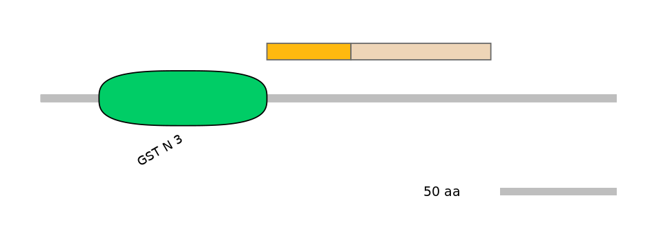 HsaINT0036315-EXC