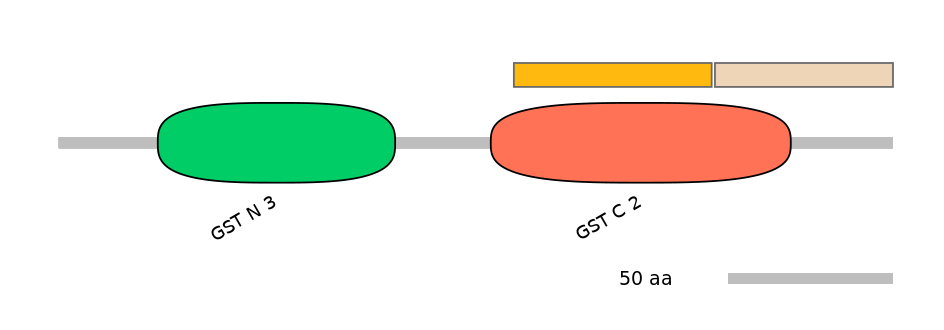 HsaINT0036326-EXC