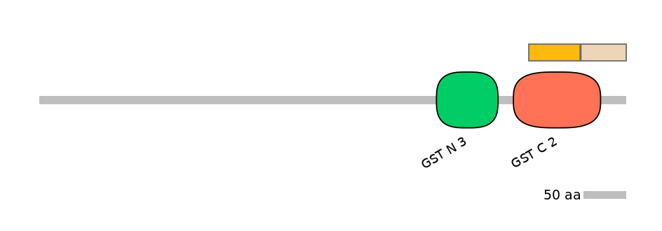 HsaINT0036337-EXC