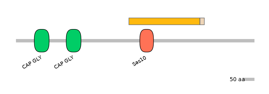 HsaINT0036374-EXC