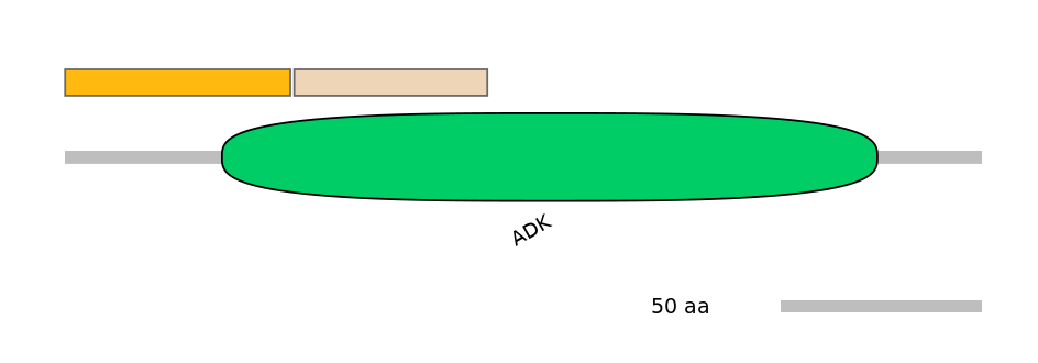 HsaINT0036899-EXC