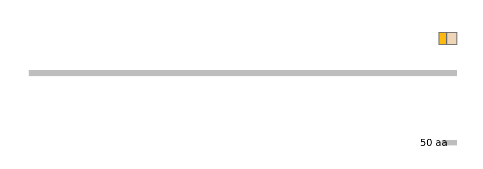 HsaINT0037408-EXC