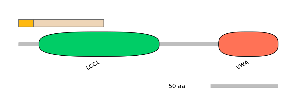 HsaINT0037733-EXC