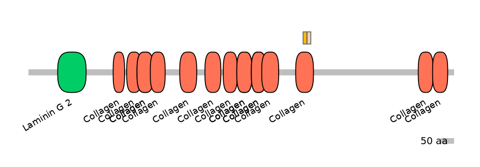HsaINT0038191-EXC