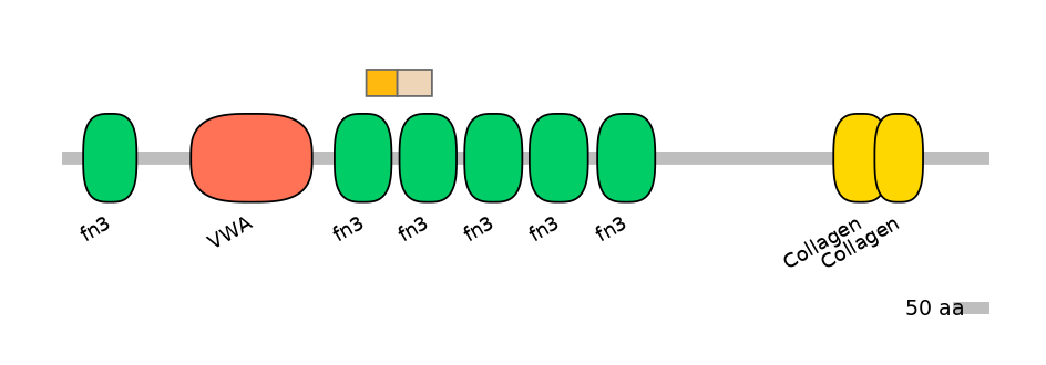 HsaINT0038470-EXC