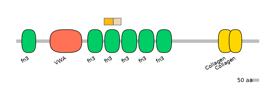 HsaINT0038471-EXC