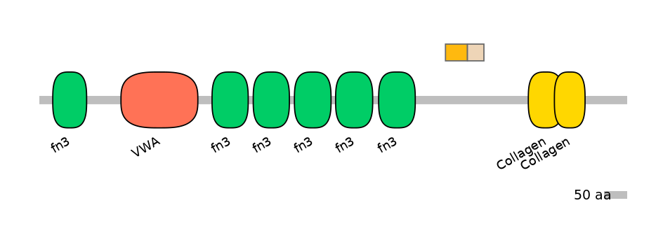 HsaINT0038482-EXC
