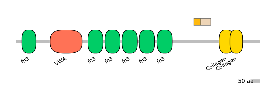 HsaINT0038483-EXC