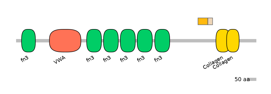 HsaINT0038484-EXC