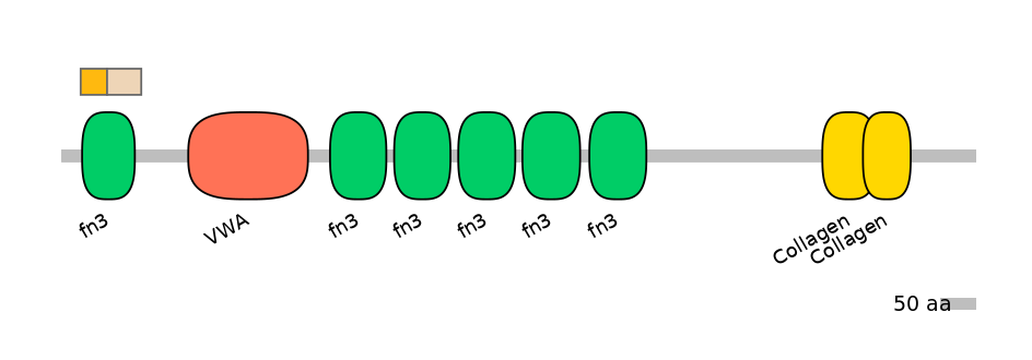HsaINT0038490-EXC
