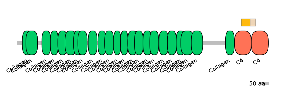 HsaINT0038958-EXC