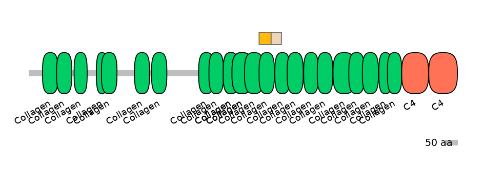 HsaINT0038991-EXC