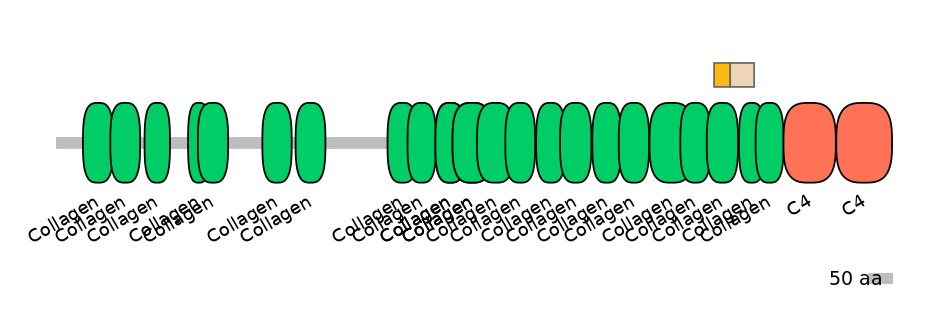 HsaINT0039003-EXC