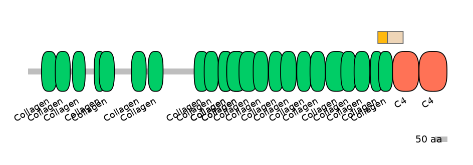 HsaINT0039005-EXC