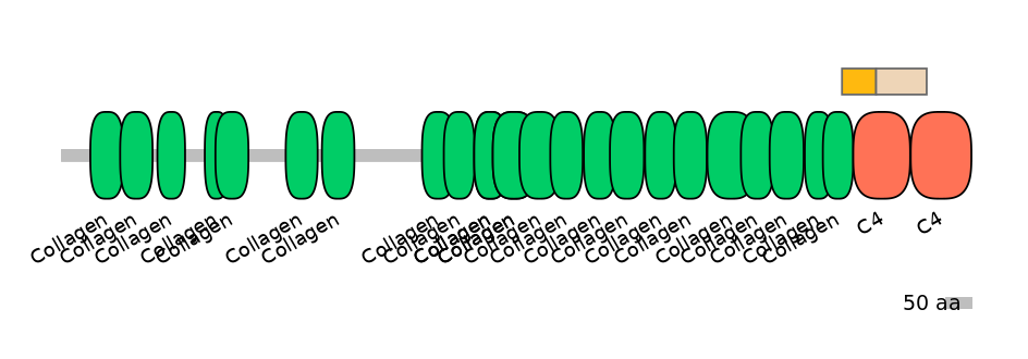 HsaINT0039006-EXC