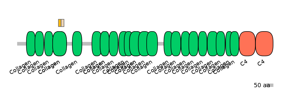 HsaINT0039087-EXC
