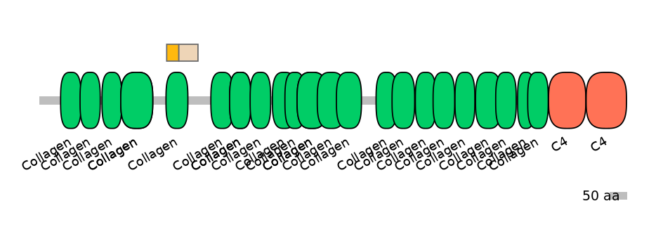 HsaINT0039092-EXC