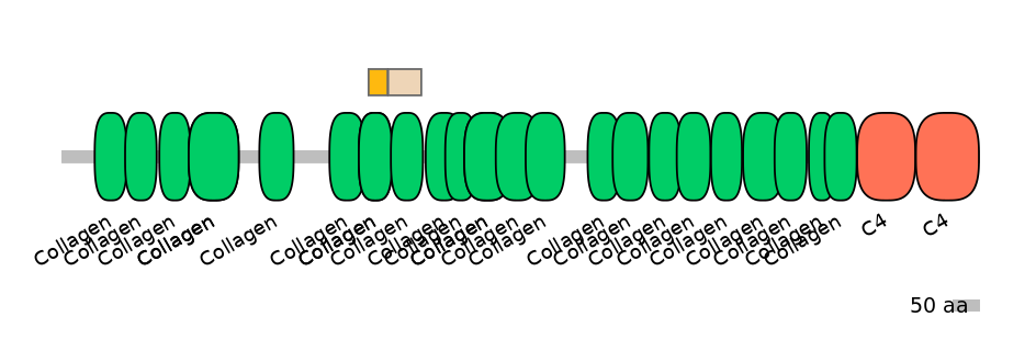 HsaINT0039098-EXC