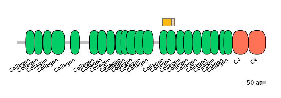 HsaINT0039108-EXC