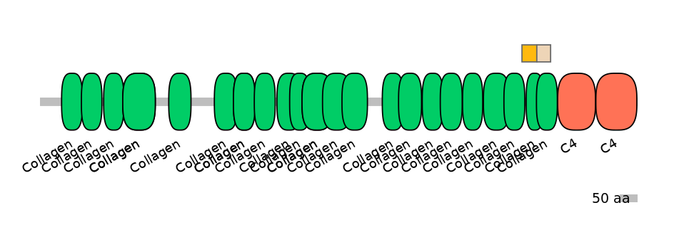 HsaINT0039120-EXC