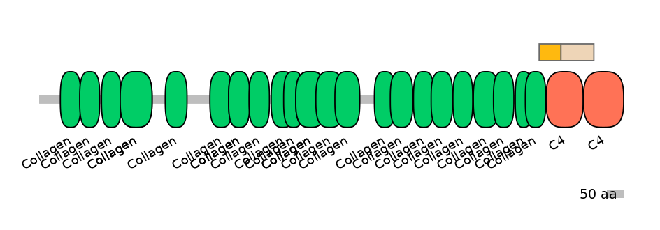 HsaINT0039122-EXC