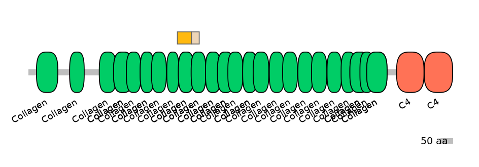 HsaINT0039146-EXC