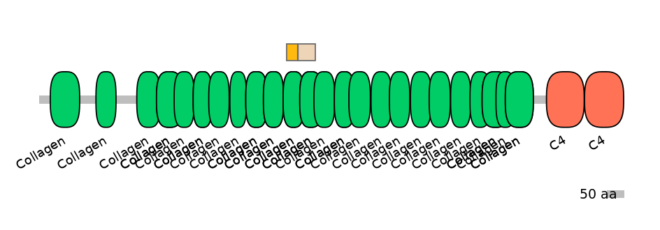 HsaINT0039149-EXC