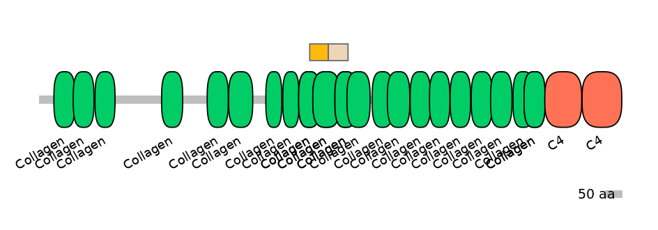 HsaINT0039199-EXC