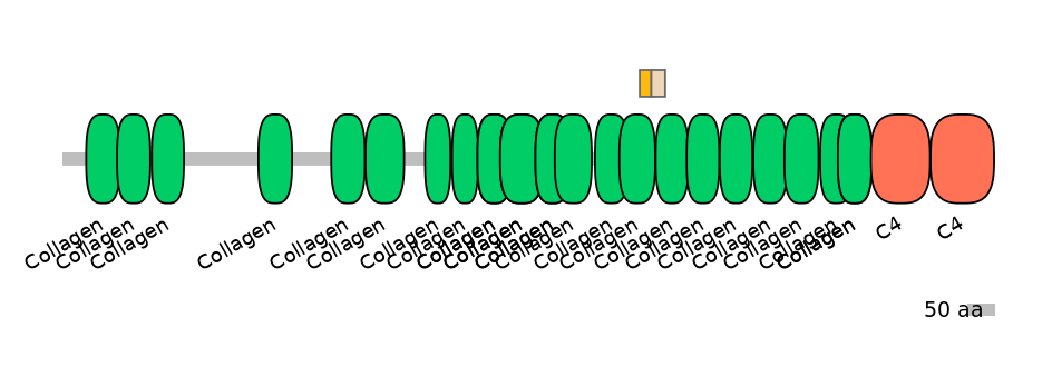 HsaINT0039205-EXC