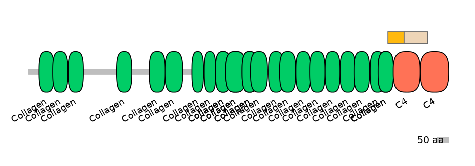 HsaINT0039217-EXC