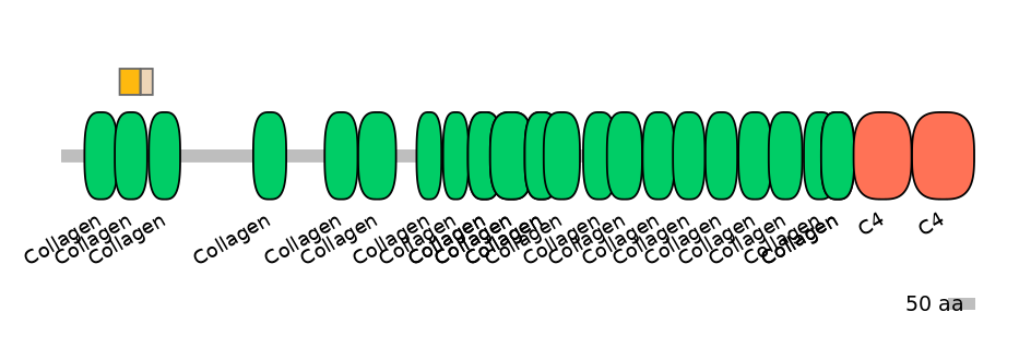 HsaINT0039220-EXC