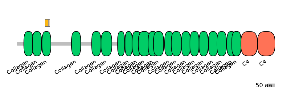 HsaINT0039223-EXC