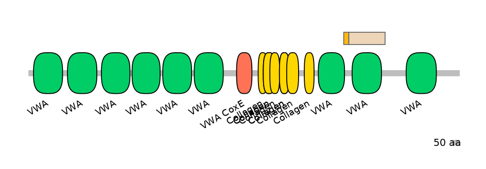HsaINT0039568-EXC