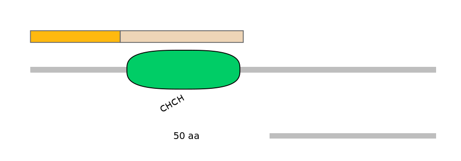 HsaINT0040372-EXC