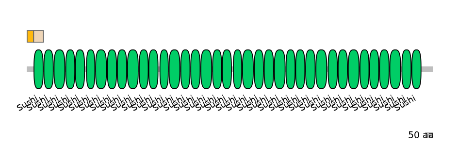 HsaINT0041111-EXC