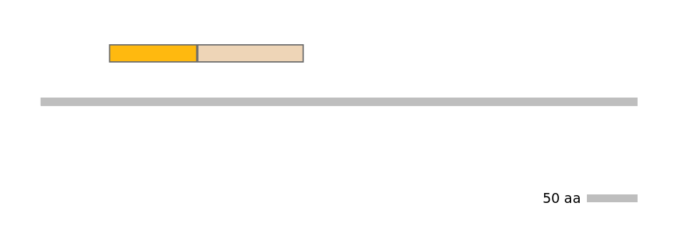 HsaINT0042478-EXC