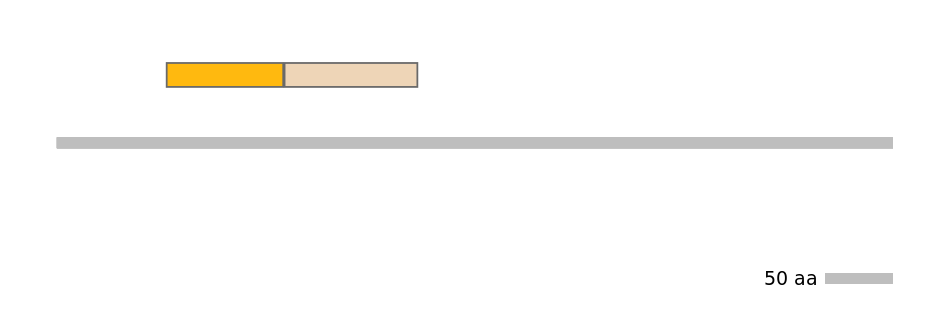 HsaINT0042488-EXC